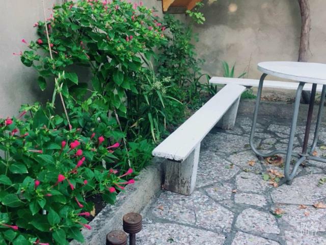 טביליסי Family Guesthouse - Macharashvili מראה חיצוני תמונה